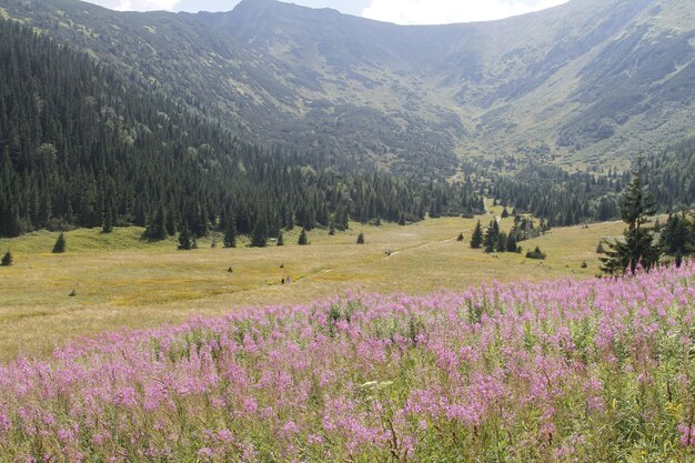 Poland Tatra mountains