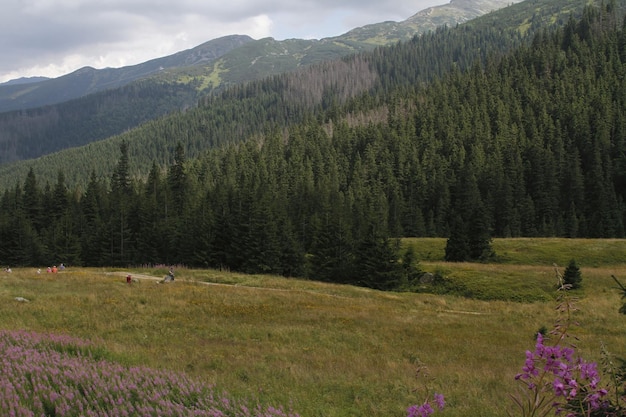 Poland Tatra mountains