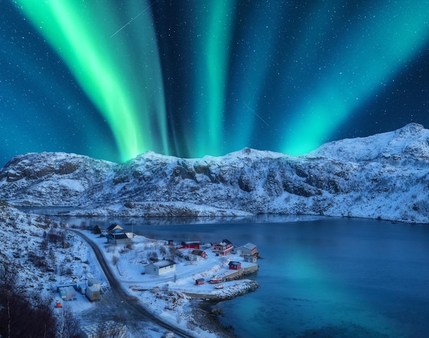 Polar lights over the snowy mountains sea at night in Lofoten Norway Aerial view of aurora borealis rocks in snow Winter landscape with northern lights and fjord Starry sky with aurora Top view