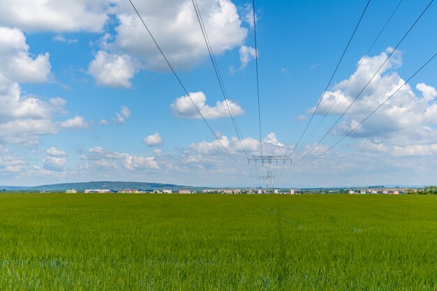 Polen met hoogspanningsdraden in het land