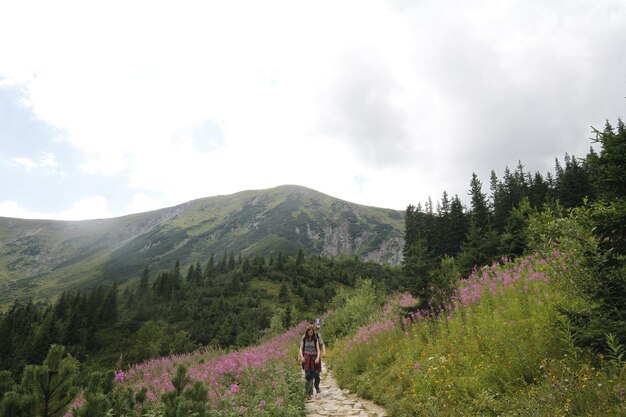 Polen Tatra gebergte