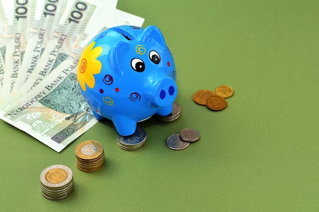 Polish money and piggy bank on a green background copy space