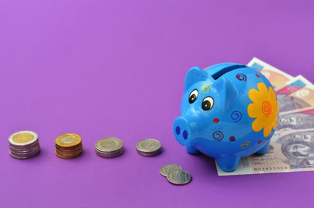 polish money and piggy bank on purple background