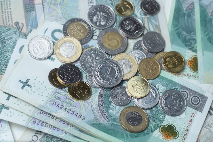 ポーランドのお金、ポーランドズウォティ、手形および硬貨