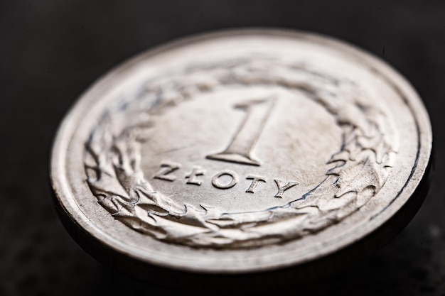 経済と投資の象徴としてのポーランドの 1 コイン ズウォティ通貨ポーランドのお金の現金のクローズ アップを conc として