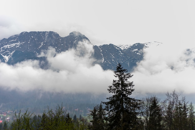 Polish Tatra mountains in the fog