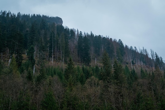 Polish Tatra mountains