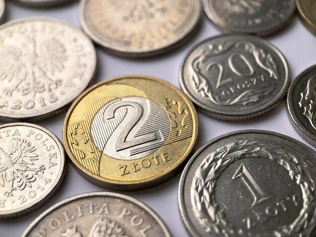 Фото Польские злотые монеты на белом фоне. крупным планом фотография.