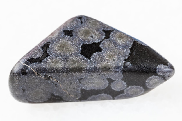 사진 화이트에 광택된 variolite 돌