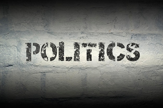 Politics WORD GR