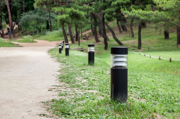 Foto pollarden bij het graf van seonjeongneung