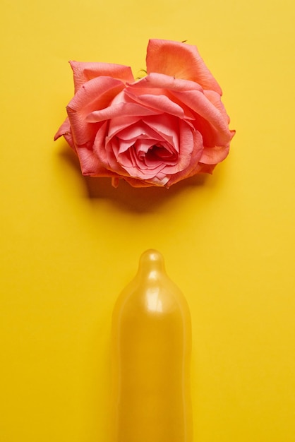 노란색 배경 위에 놓인 분홍색 장미가 있는 콘돔의 보호 스튜디오 샷으로 꽃을 수분시키세요