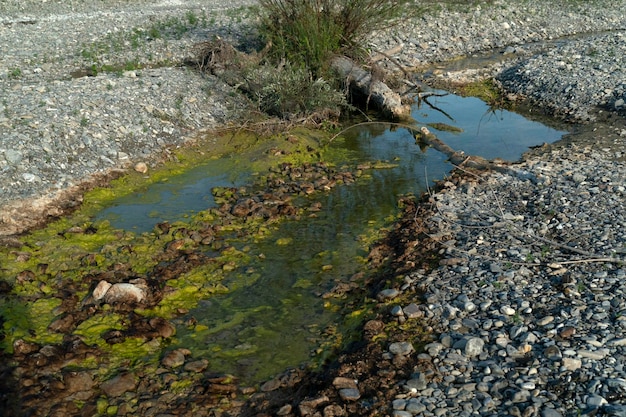 Загрязненная зеленая и желтая речная вода