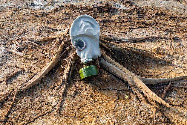 Concetto di inquinamento con maschera antigas