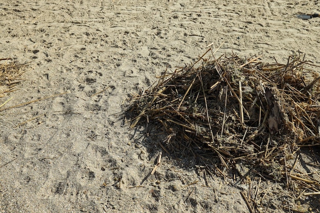 Pollution of the water body with plastic waste and garbage