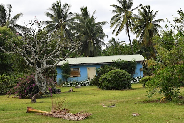 Polynesië Cook Island bungalow huis