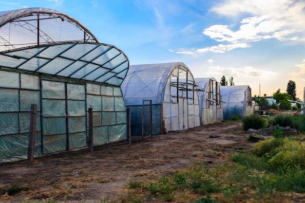 Polythene tunnel as a plastic greenhouse for growing vegetables