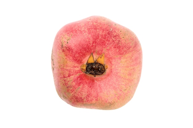 Pomegranate fruit isolated on white background top view