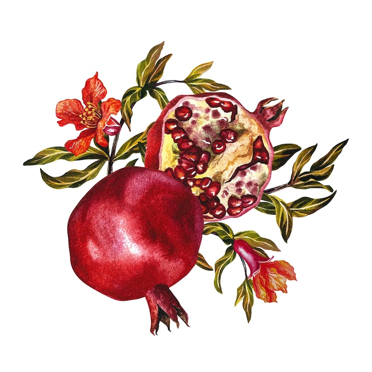 Photo pomegranate fruits and flowers pomegranate in the section a watercolor illustration made by hand