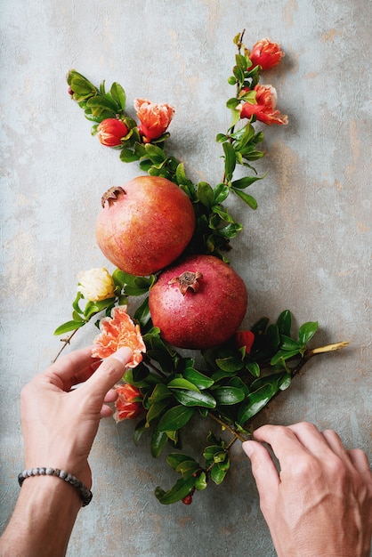 Pomegranate fruits with flowering branches