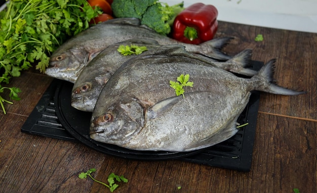 Photo pomfret fish black