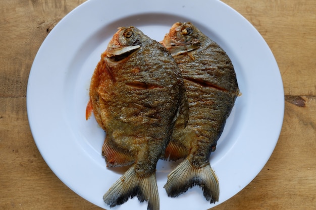 Pomfret on white plate with wooden table