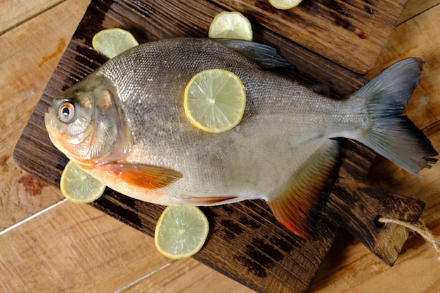 Pomfrets zijn perciforme vissen die behoren tot de familie Bramidae. Ikan bawal. Verse pomfret en citroen