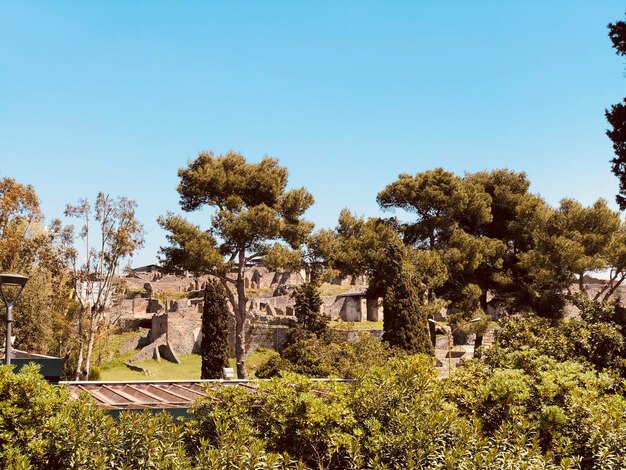 Photo pompei ruins