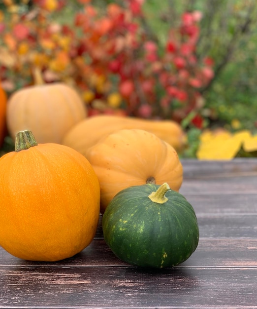 pompoen close-up op een houten achtergrond. banner voor halloween en thanksgiving day