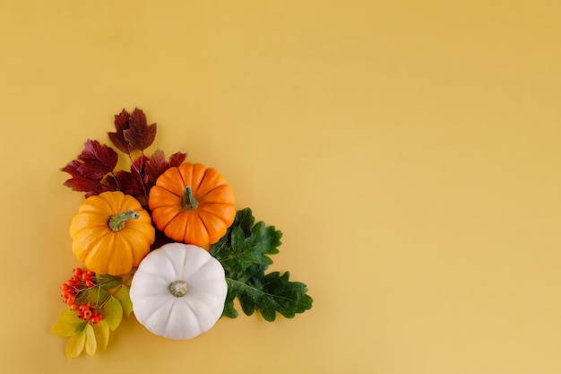 pompoen en bladeren op gele achtergrond Halloween en Thanksgiving vieren