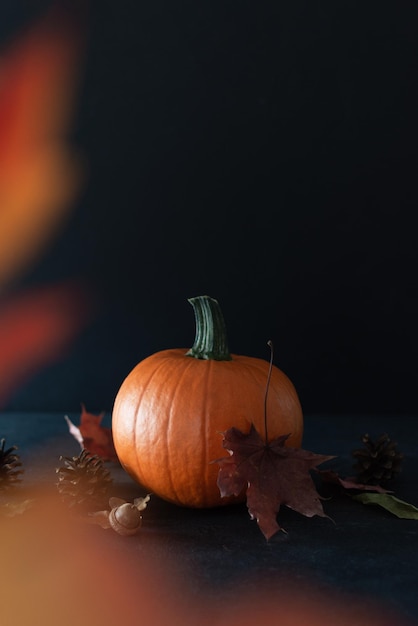 Pompoen en herfst esdoorn bladeren op zwarte achtergrond Herfst compositie