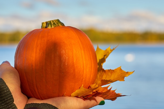 Pompoen en herfstbladeren in handen met meer op de achtergrond.