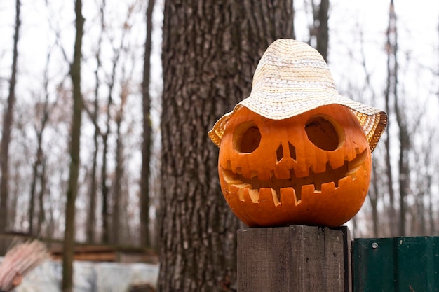 Pompoen in een hoed voor Halloween Een gesneden grimas in een pompoen Onscherpe achtergrondruimte voor tekst