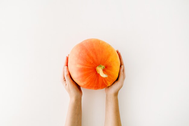 Pompoen in handen van het meisje. plat lag herfst