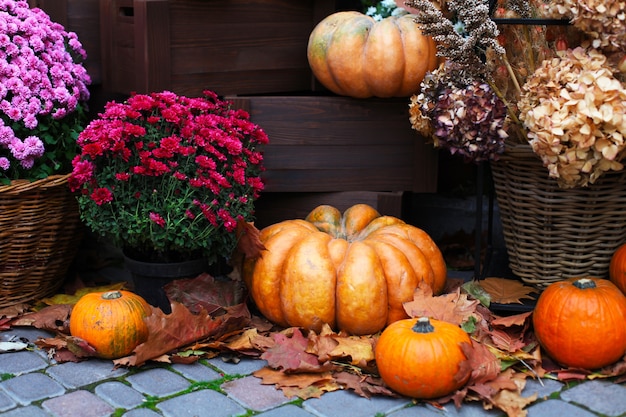 Pompoenen. decor voor het herfstseizoen