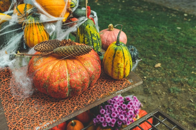 Pompoenen Halloween-tuindecor met bloemenweb en dennenappels