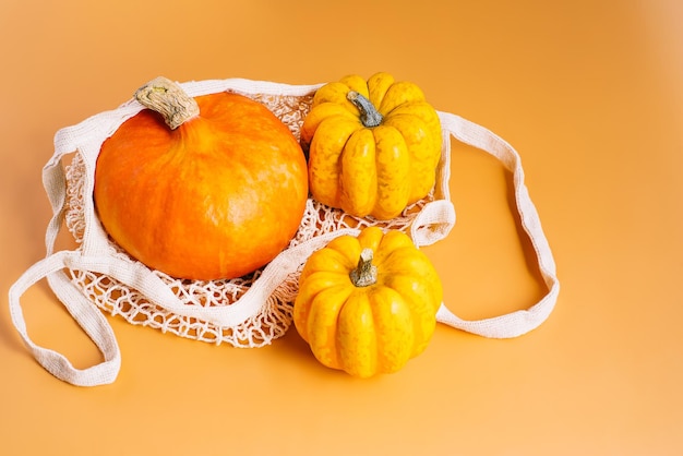 Pompoenen herfst achtergrond verschillende pompoensoorten oranje achtergrondruimte voor tekst en kopieerruimte