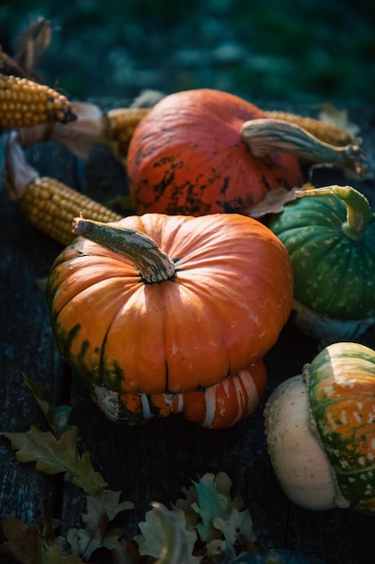 pompoenen in de herfst Thanksgiving-kaart