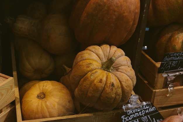 Pompoenen in houten dozen met prijskaartjes op een teller in een winkel.