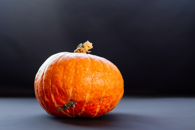 Pompoenen met prachtige patronen en natuurlijke motieven kunnen voor Halloween worden gebruikt, het is echt charmant