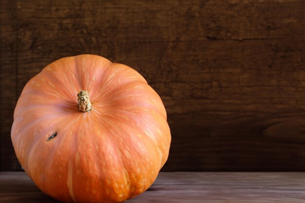 Pompoenen met prachtige patronen en natuurlijke motieven kunnen voor Halloween worden gebruikt, het is echt charmant