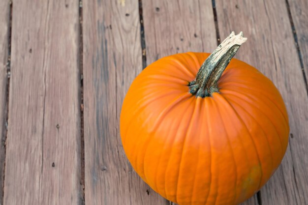 Pompoenen met prachtige patronen en natuurlijke motieven kunnen voor Halloween worden gebruikt, het is echt charmant