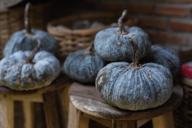 Pompoenen op de tafel