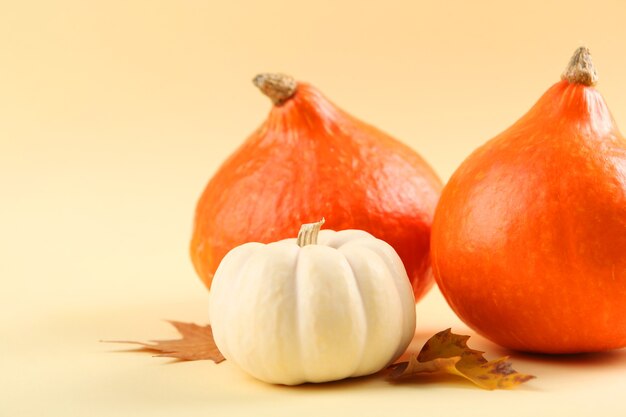 Pompoenen op een gekleurde achtergrond Thanksgiving achtergrond herfst achtergrond