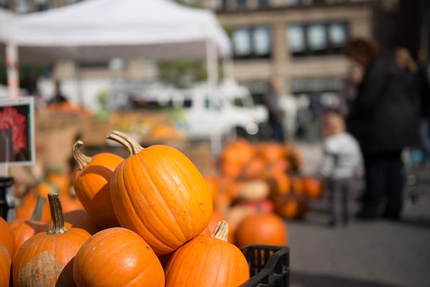 Pompoenen te koop enkele dagen voor de Halloween-viering op een straatmarkt op Union Square, NYC