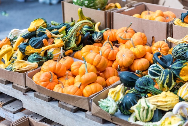 Pompoenen te koop enkele dagen voor Halloween feest in een straatmarkt op Union Square Manhattan New York City NY USA