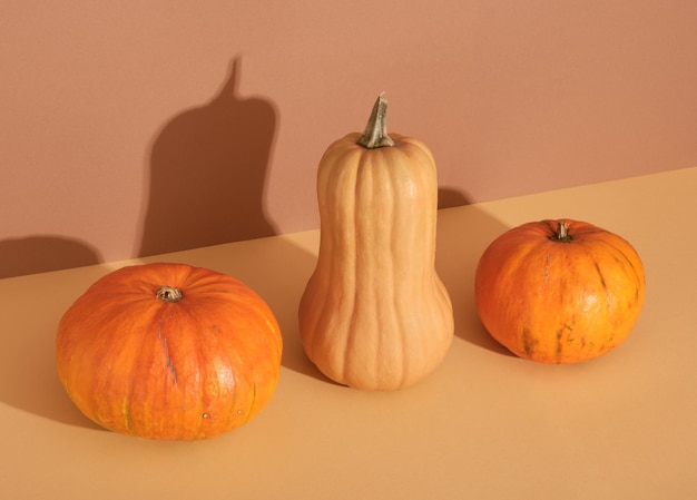 Pompoenen verschillende vormen staan in een rij op tafel. Minimaal natuur herfstconcept.