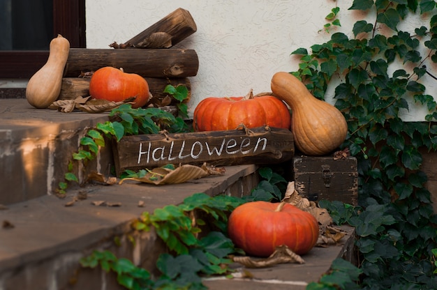 Pompoenen voor de deur om te vieren. Halloween. Selectieve aandacht.