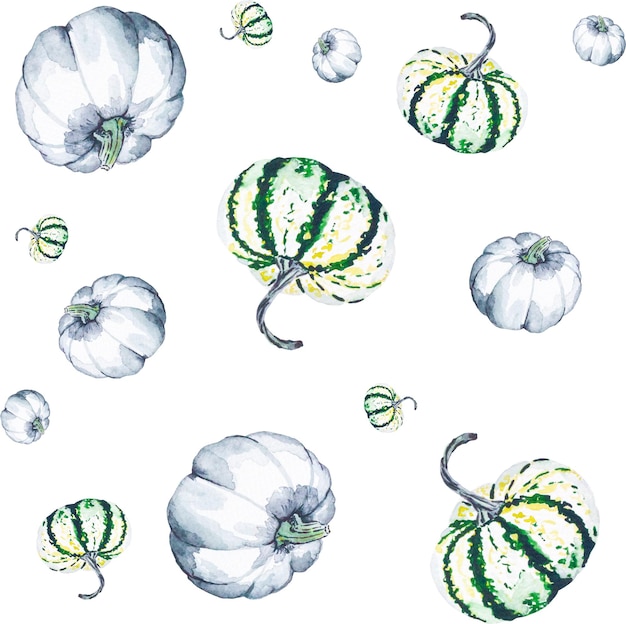 Pompoenen Waterverfpatroon van heldere pompoenen Illustratie met groenten