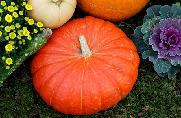 Pompoenendecoratie in de tuin voor de herfst, herfst of Halloween